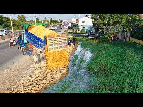 Be careful Prosecc New Project!Dump Truck Loading Soil Side road,Expert Skill Dozer D20 Pushing Soil