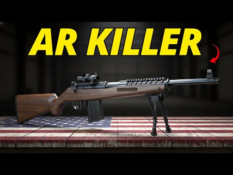 Why These Rifles are BETTER than an AR-15!