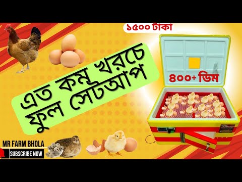 সবচেয়ে কম খরচে ইনকিউবেটর মেশিন | MR Farm Bhola | koyel Pakhi Incubator machine