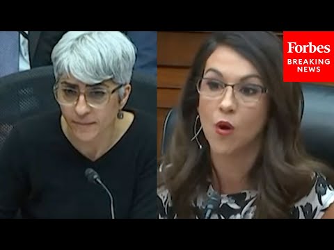 'Congresswoman, I Do Take Issue With The Characterization': Boebert, OPM Dir. Have Tense Interchange