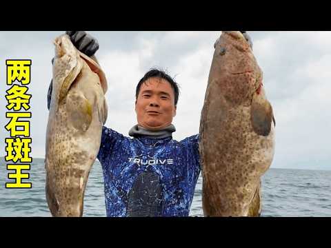 遠洋荒島捅了石斑窩！兄弟倆海底瘋狂追捕賺1000！網友：這錢比賣魚還賊！？【探海漁人】