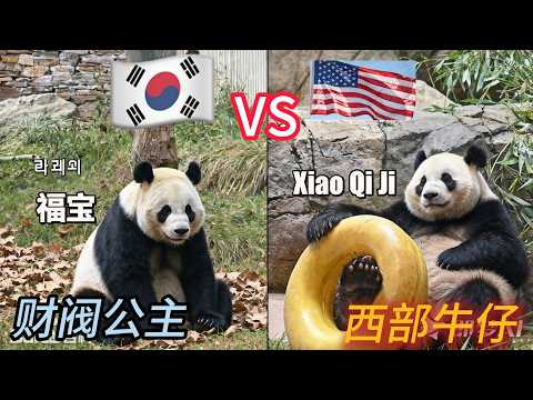 Korean princess VS American cowboy, who is cuter?