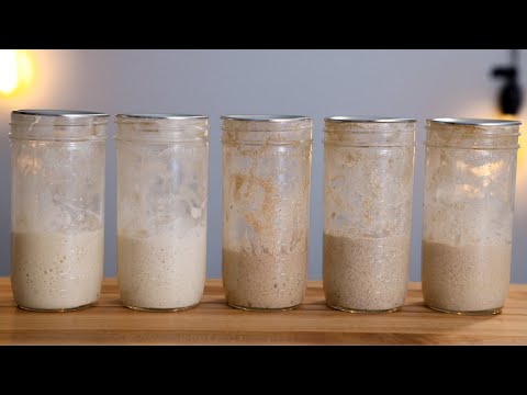 What's the best flour to feed a sourdough starter?