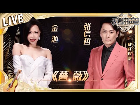 【独家Live版】张信哲金池合唱《蔷薇》 唱出了百转千回的爱《天赐的声音2》No Noice  #天赐的声音2