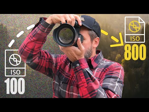 The TRUTH Behind the ISO 100 MYTH that the PROS Know!