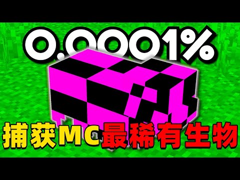 我的世界：肝帝老哥挑战24小时内捕捉MC中最稀有的生物，他能挑战成功吗？
