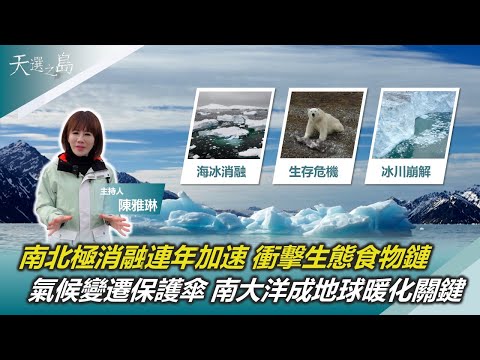 全球暖化加劇 北極冰川年退100公尺！｜生物棲地改變 食物鏈動搖 南北極動物存亡之秋｜氣候變遷保護傘 南大洋 地球暖化重要關鍵｜天選之島 南北極 消融的冰雪世界｜陳雅琳｜華視新聞 20250413