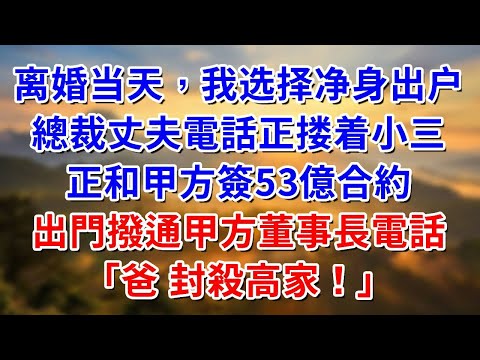 离婚当天，我选择净身出户。總裁丈夫電話正搂着小三，正和甲方簽53億合約，出門撥通甲方董事長電話：爸 封殺高家！#阿木講故事#為人處世#生活經驗#情感故事#養老#睡前故事