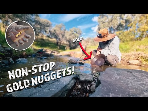 This Has NEVER Happened Before! | Finding Gold Nuggets Every Day I Went Prospecting!