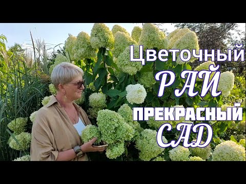 Прекрасный САД Светланы и Сергея Декуновых. Обзор - прогулка.