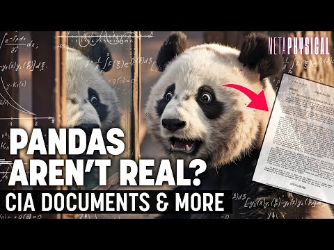 Metaphysical Animals