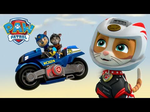 狂野貓和摩托狗狗們拯救阿奇和浪毛幫夥伴們！- PAW Patrol 汪汪隊立大功 - 兒童卡通