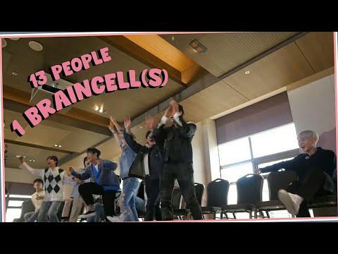 seventeen having 1 braincell(s)