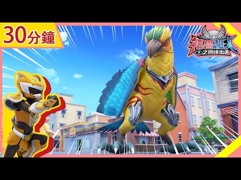 【铠兽超人】Beastcore Heroes | 30分钟精彩合集🎥 | EP13-15 | 狼牙超人 | 卡通動畫 | Hero | Robot