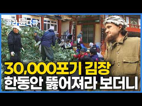 외국인의 눈에 비친 한국의 김장? 난생처음 보는 어마어마한 광경에 한 걸음 멈칫 물러서나 싶더니..｜한국 김장 본 외국인 반응｜엄청난 규모의 한국 김장｜구인사｜한국기행｜#골라듄다큐