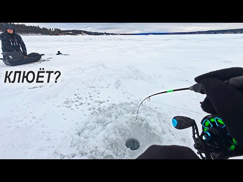 Ловля судака в декабре. На вибы ПО РУСЛУ. Вася-поджопник. Зимняя рыбалка 2025
