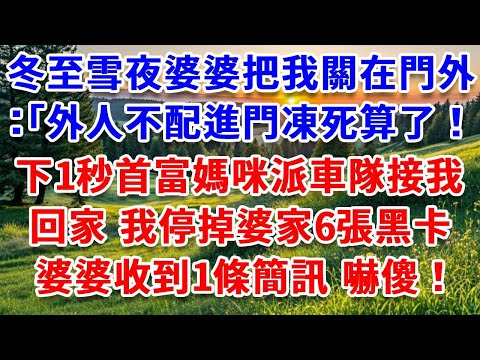 冬至雪夜婆婆把我關在門外:「外人不配進門凍死算了!」下1秒首富媽咪派車隊接我回家,我果斷停掉婆家6張黑卡,婆婆收到1條簡訊徹底傻了!#詩涵講故事#為人處世#生活經驗#情感故事#晚年哲理#說故事#完結文