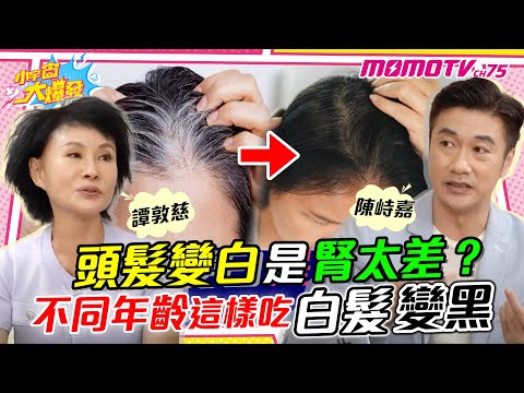 頭髮變白是腎太差? 不同年齡這樣吃 白髮 變黑!ft. 中醫師 陳峙嘉 譚敦慈【 小宇宙大爆發 】