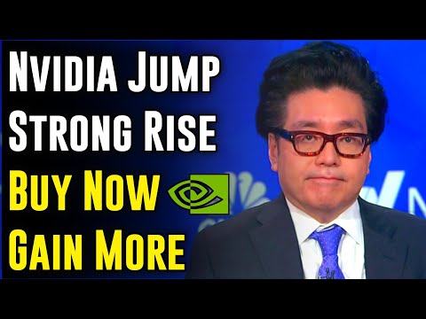 NVIDIA Jump Strong Rise — NVIDIA Stock Buy Now, Gain More : Tom Lee