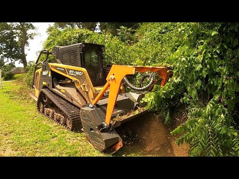 COLOSSAL KUDZU COMPLETELY INFESTED THIS OVERGROWN CITY LOT!