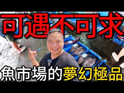 免費的的夢幻魚種丨超過四斤重港邊海鮮料理馬上吃!!爽到爆~丨台東成功漁港魚貨大爆發舒服~