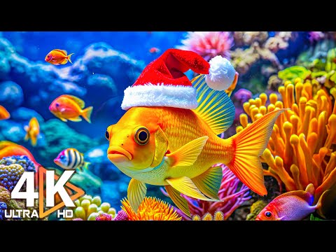 The Best 4K Aquarium for Relaxation 🐠 Relaxing Oceanscapes - Sleep Meditation 4K UHD Screensaver