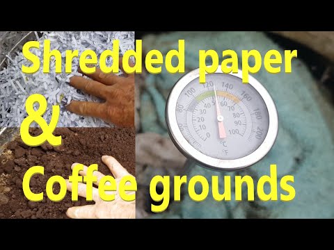 Coffee grounds & shredded paper compost/worm farm experiment. Six months in a washing machine barrel