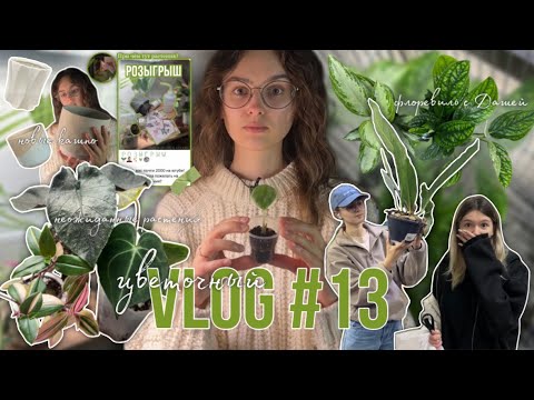 Осенний цветочный VLOG #13 || новые растения и кашпо, пересадки и поездка во Флоревиль с Дашей
