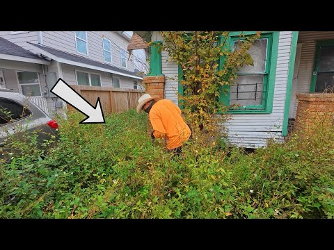 This Yard Was Frozen in Time… We Couldn’t Believe What We Found