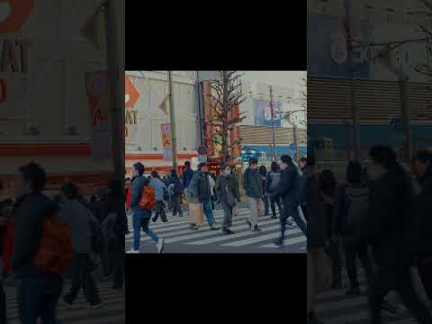 Postcards from Akihabara, Tokyo