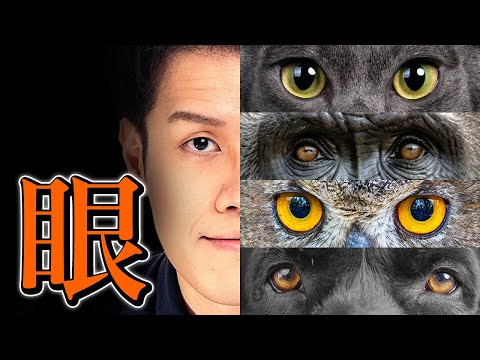 進化生物学者が語る、「眼」のヤバさ。