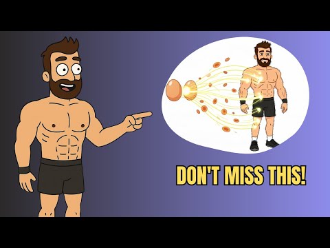 What Really Happens When You Eat 3–4 Eggs Daily? The Truth Will Shock You