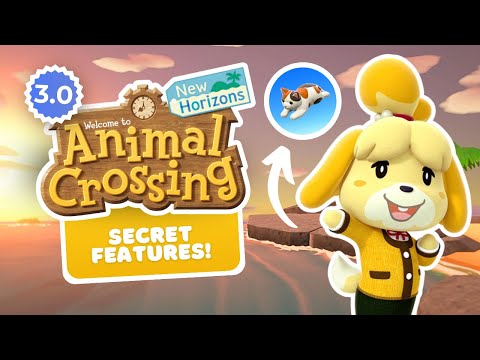 What They DIDN'T Tell Us About the Animal Crossing 3.0 Update! π±| Wish I Knew π