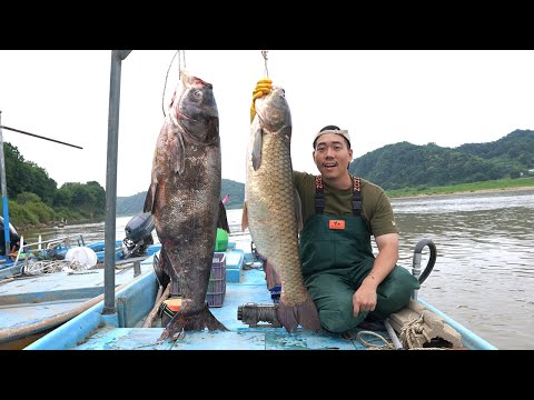 진짜 대박입니다... 우리나라에서 가장 큰 민물고기들을 잡아서 매운탕으로 먹어보자!