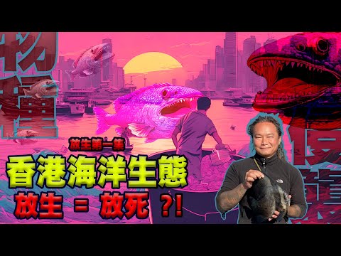【放生第一集】｜放生要有智慧｜放生變成虐待動物｜西貢海10條魚當中有5條為沙巴龍躉｜香港海洋生物錄得全國逾1/4 「富可敵國」｜香港自然｜外來物種｜本地魚#hkfish｜#本土養殖Alex