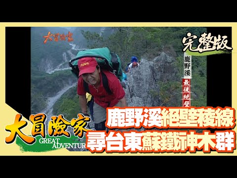 【大冒險家】鹿野溪絕壁稜線 尋找桃林溫泉（利嘉林道發現熊抓痕 / 大規模崩壁 / 蘇鐵神木群 / 龍門天險）│2004.06.07│229集完整版