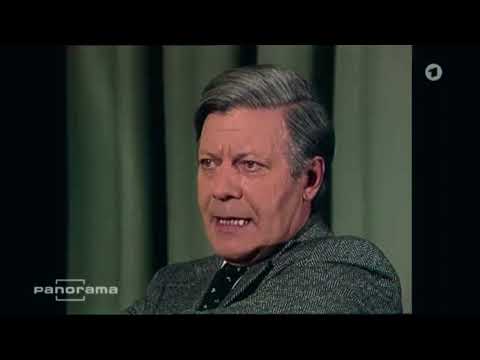 Interview mit Helmut Schmidt zur Steuerreform