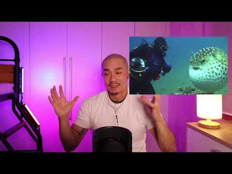 남자가 웨이트운동을 하지 않으면 인생에서 엄청난 손해를 보는 3가지 이유 (새해 몸짱 되기 프로젝트1탄)