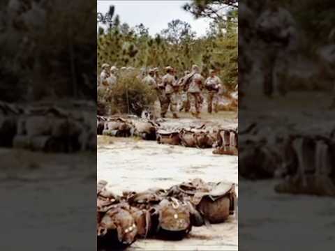 US Army amazing and tough training in jungle. #military #usmilitarycombat #usarmy # #combattraining
