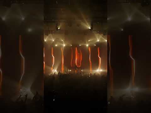 MRACK – Everything Is Overrated | Melodic Techno Vibes 🔥