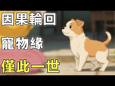 為何說寵物緣僅此一世？孟婆：只因輪回時需主人相助！【貓|寵物|因果】