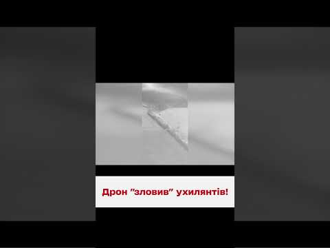 👀 Сховатись не вдалось! На Одещині дрон допоміг затримати чотирьох ухилянтів!
