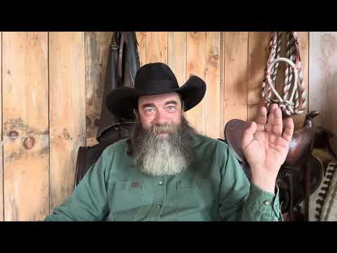 Life Lived vs Thoughts Thought