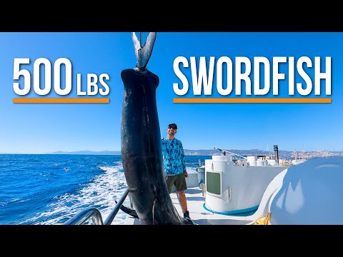 Sight Fishing Monster Swordfish on the Surface