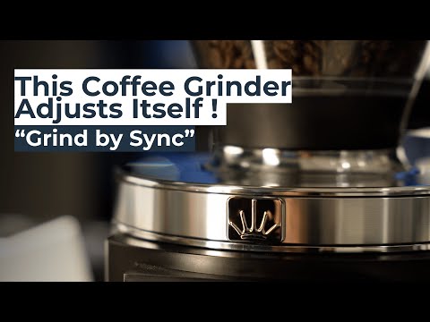 The Mahlkonig Grind By Sync E65S Grinder