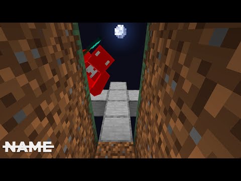 I Did What I Had To Do On The No Name SMP (#30)