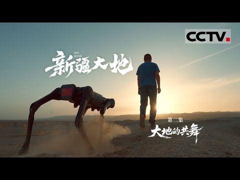 《新疆大地》02 大地的共舞：步履共舞 万千姿态跃动成幸福生活 看新疆大地上五光十色的生活百态【CCTV纪录】