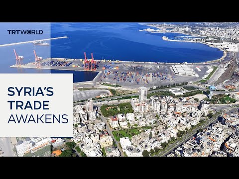 Syria’s ports enjoy revival after war and corruption
