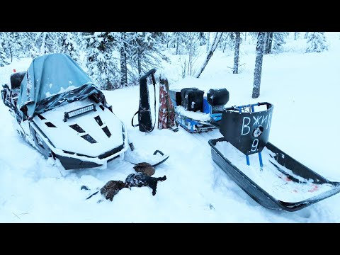 Всё-таки Я НАШЁЛ СЛЕДЫ ЛОСЯ / ПРОБИВАЮСЬ ПО НАВИГАТОРУ В ТАЙГЕ / ОХОТА НА ТЕТЕРЕВА С МЕЛКАШКОЙ.