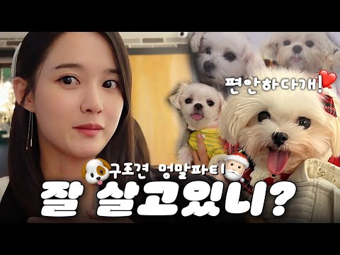 Are the rescued puppies doing well?🐶💕Furry up and have a party😎 Choi Choi